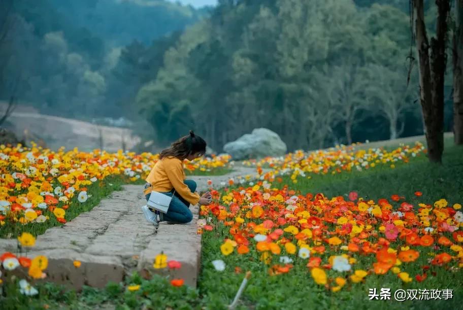 双流美丽公园城市,成都双流湿地公园美景