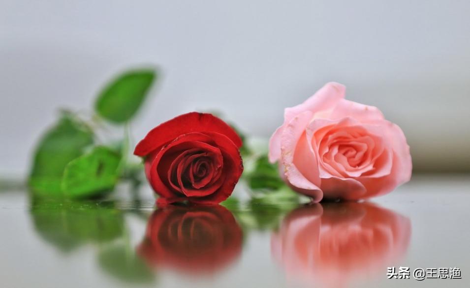 怎么鼓励老公管理公司,应该和老公的下属怎么相处