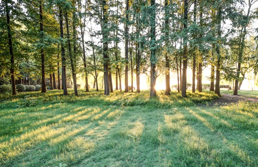 西安公园24小时开放,西安未央湖公园免费开放时间