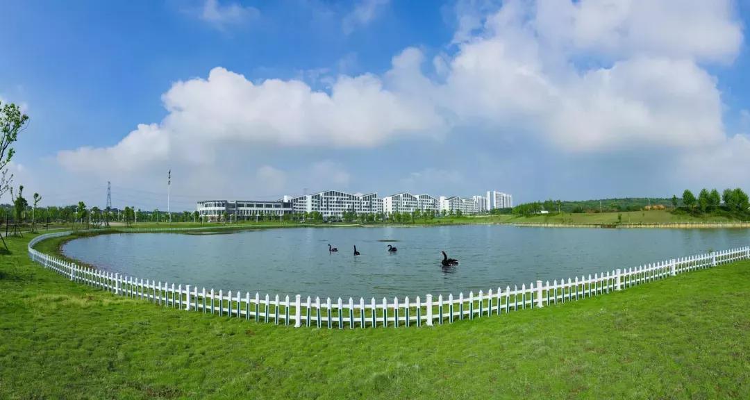 安徽合肥大学二本院校,安徽合肥工业大学