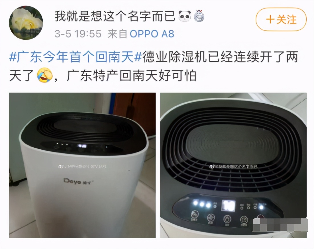 恩平未来一个月的天气,恩平天气走向怎样了今天