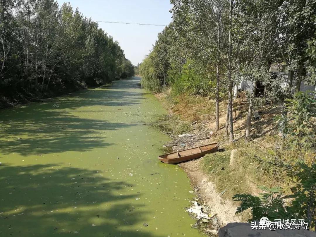 冠县贾镇高庄铺村,冠县乡韵北馆陶宗屯村