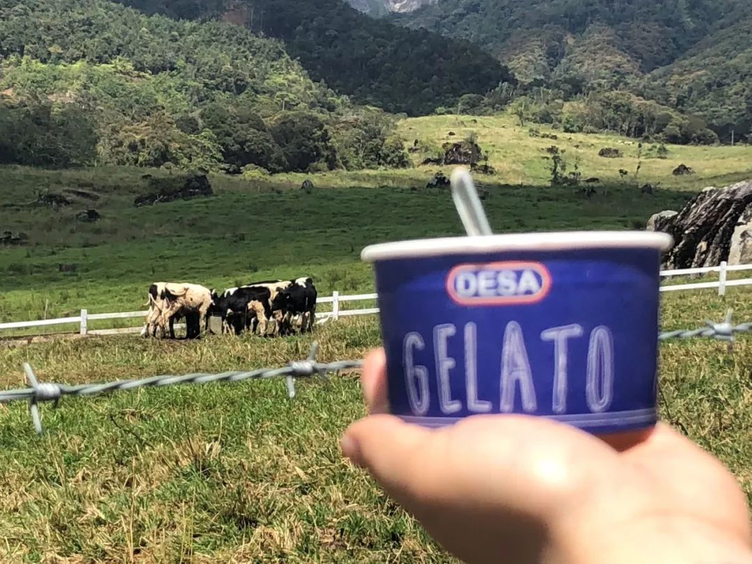 昨日重现2019完整版,昨日重现新加坡