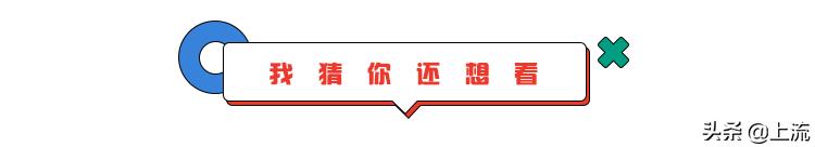 为什么毛绒玩具都是熊,为什么毛绒玩具熊偏多
