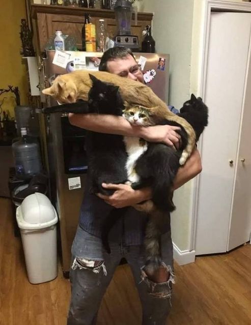 猫咪和主人的温馨时刻,和猫咪快乐的瞬间