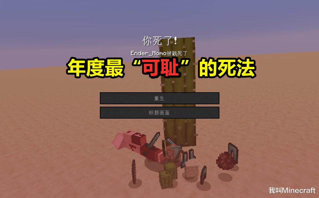 我的世界伤害表,我的世界十大骚气玩法