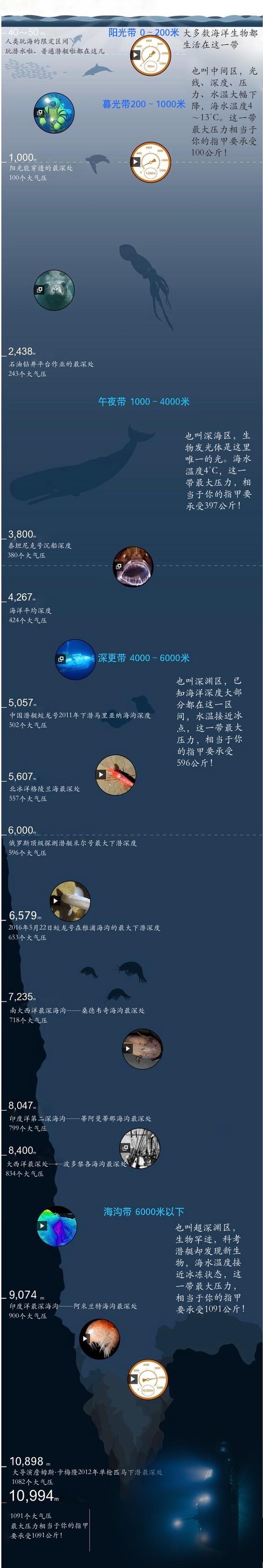 超级恐怖的深海巨鲨,新西兰巨型夜光鲨探秘