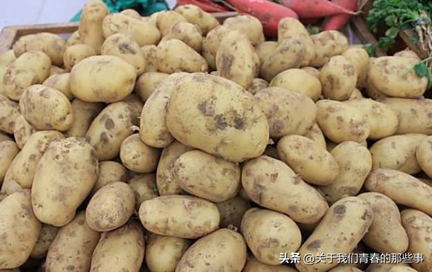土豆发小芽没变青还能吃吗,土豆这样存一年都不变青不发芽