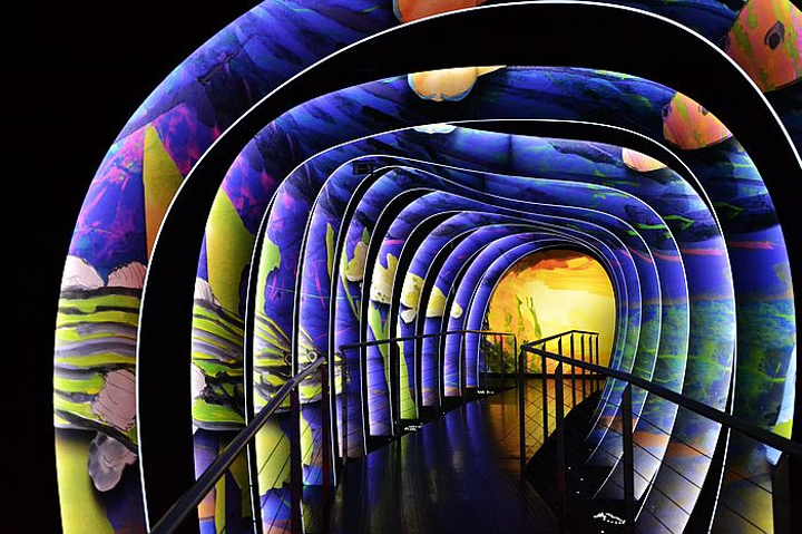 施华洛世奇花漾魔力寓意 (施华洛世奇的花样魔力)