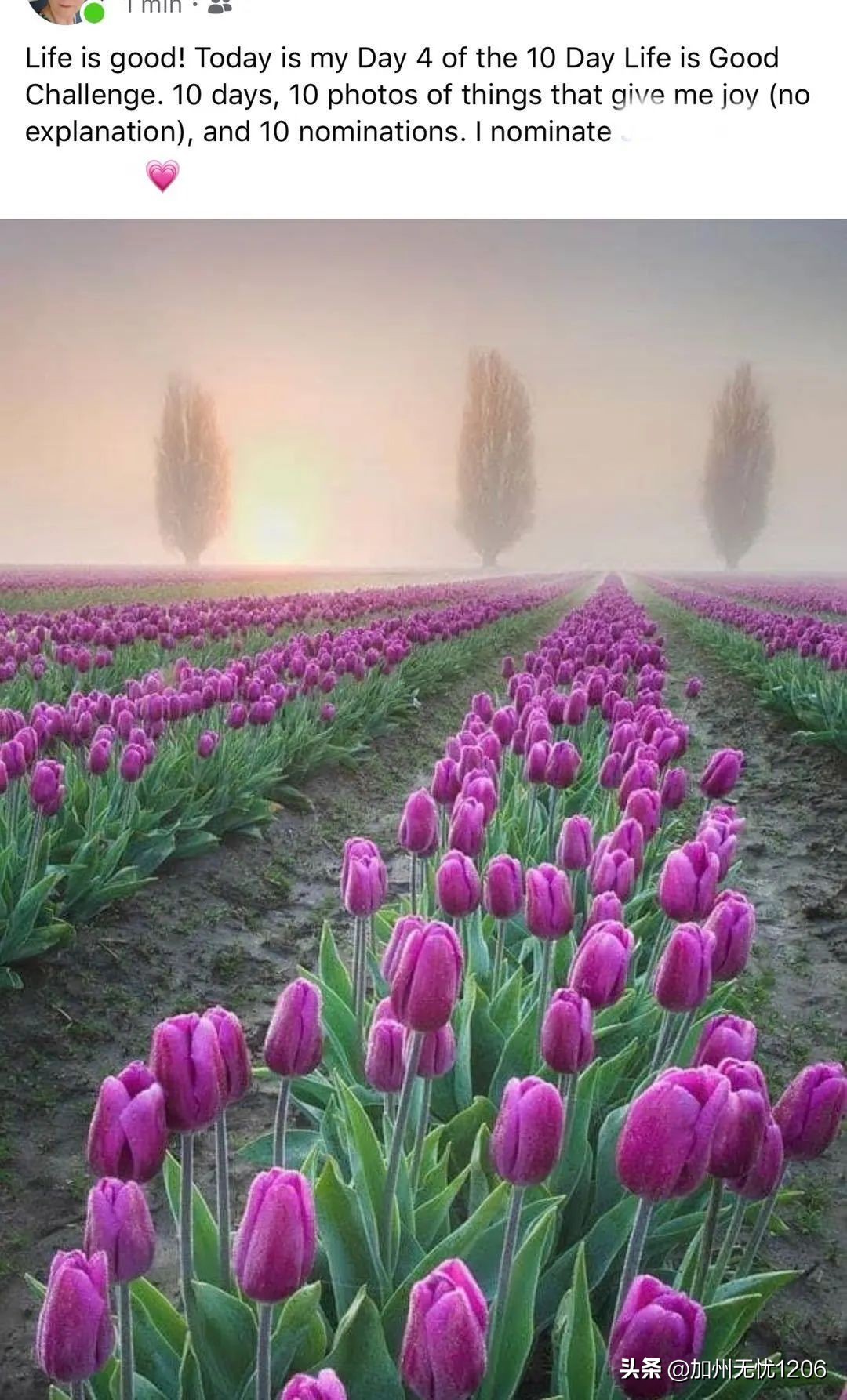 美国确诊超481万,美国确诊病例超115万例