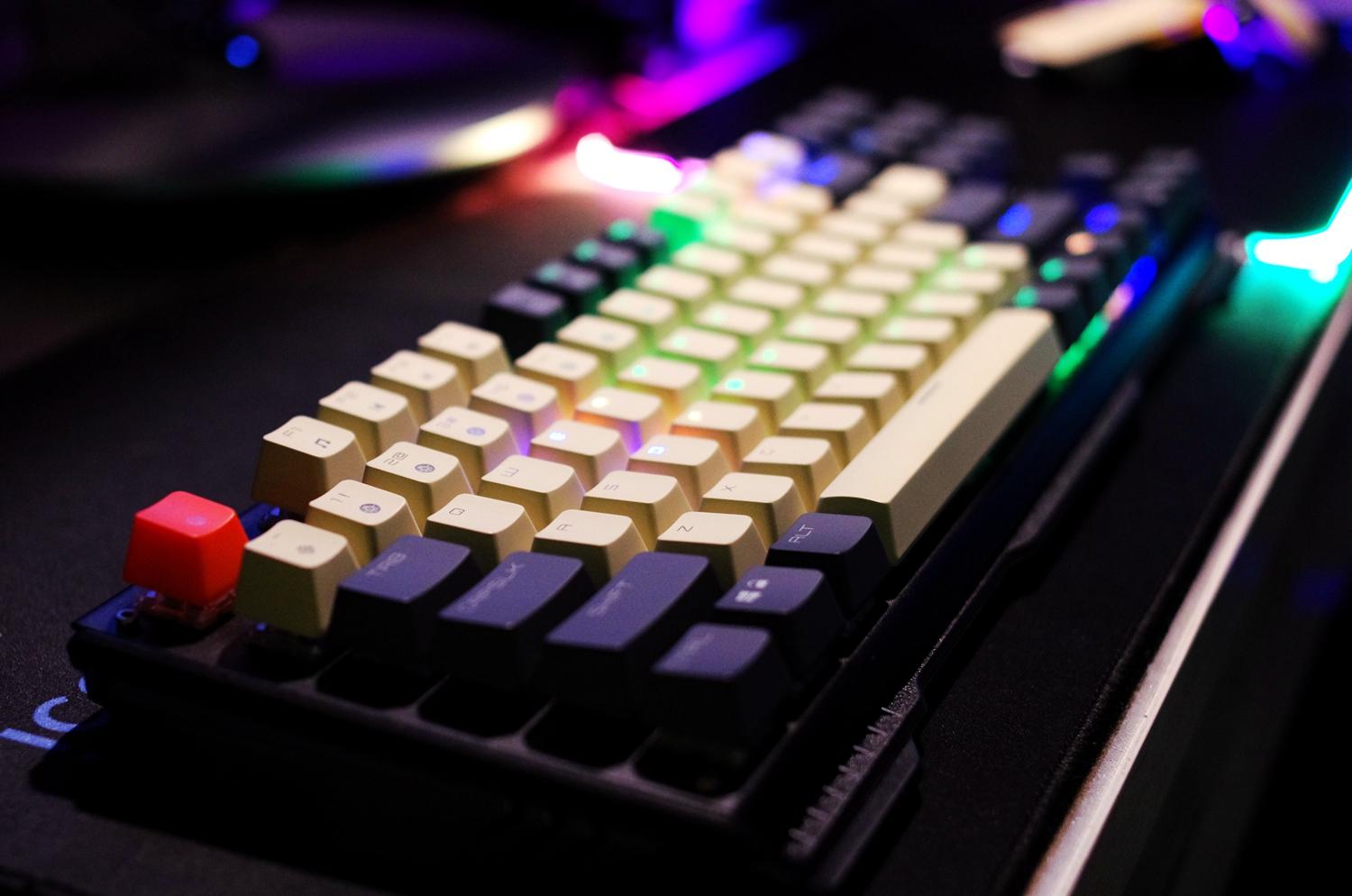 快放假了还能玩的游戏,快放假了能玩什么游戏