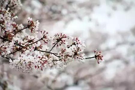 礼记大学节选重点句,礼记六大传世金句