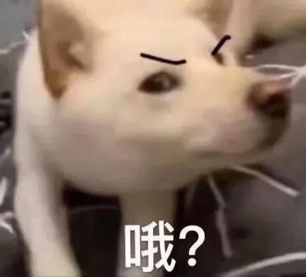 假面骑士骂人表情包,表情包怼人不失礼貌