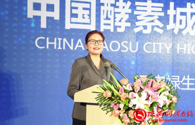 中国酵素城核心区,中国酵素城规划