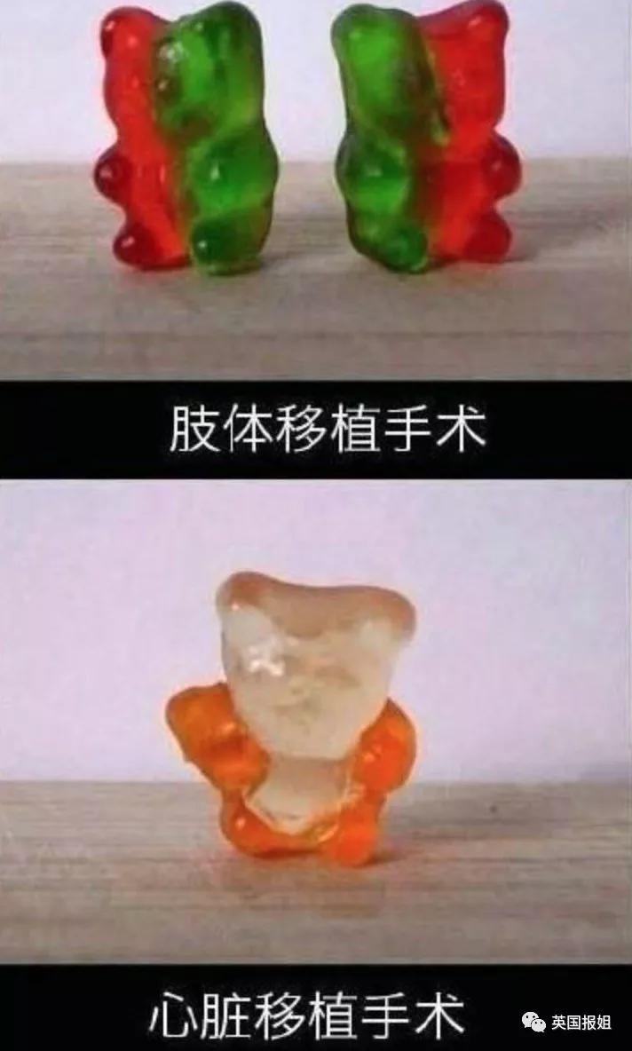 宅家无聊自嗨起来,宅家自娱自乐大赛