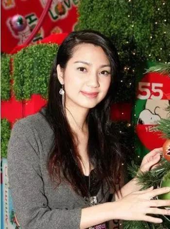 洪欣陈法蓉最近消息,洪欣陈法蓉合体综艺