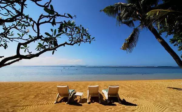 巴厘岛鸟园旅游攻略,大连至巴厘岛旅游自由行攻略