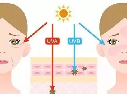 安耐晒有问题吗,安耐晒竟然败给了这几款