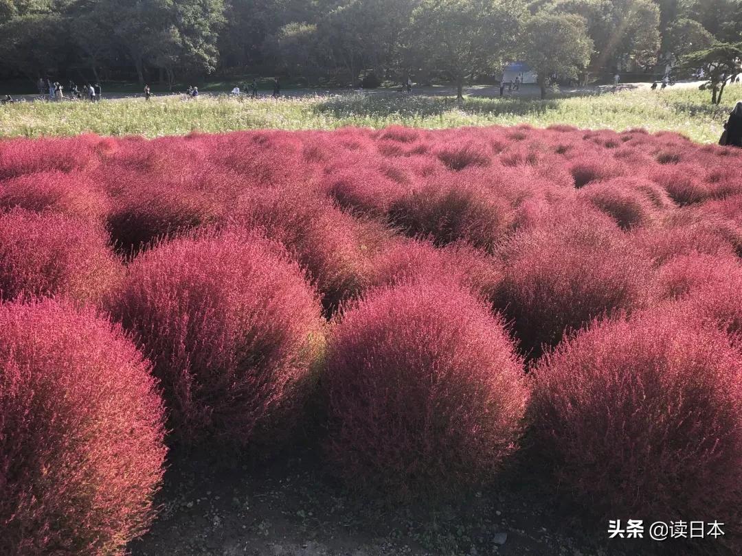 日本最美城市排行榜,东京最有魅力城市排名