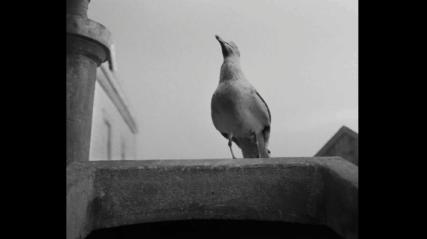 老拍床戏的暮光男，这次连美人鱼都不放过