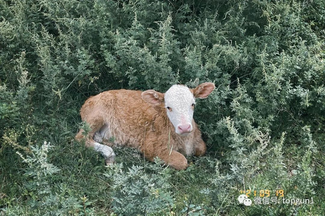 9月假期,9月很忙的句子