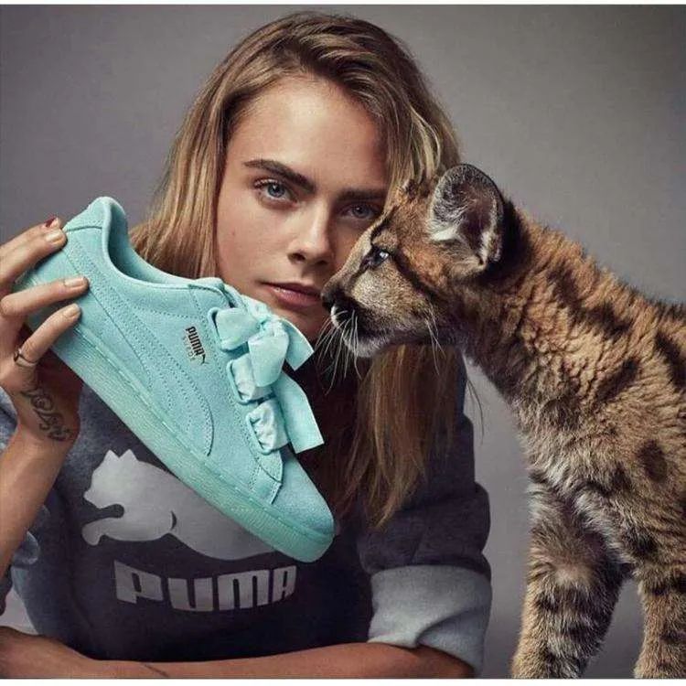 阿迪达斯和彪马的恩怨情仇,阿迪达斯和彪马的爱恨情仇