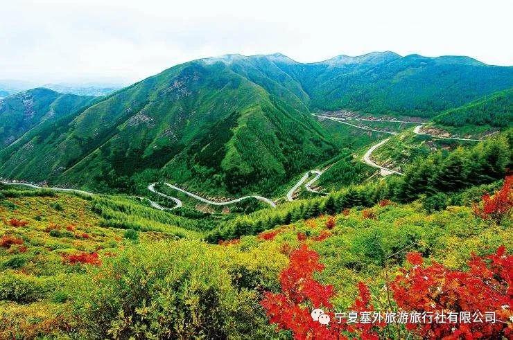 宁夏塞外旅游旅行社有限公司招聘,宁夏塞外旅游旅行社