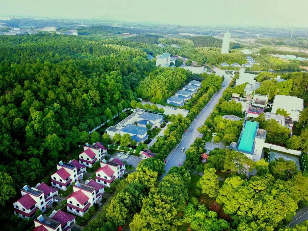 蓝城史诗级田园巨著，或将引领十万武汉人“上山下乡”