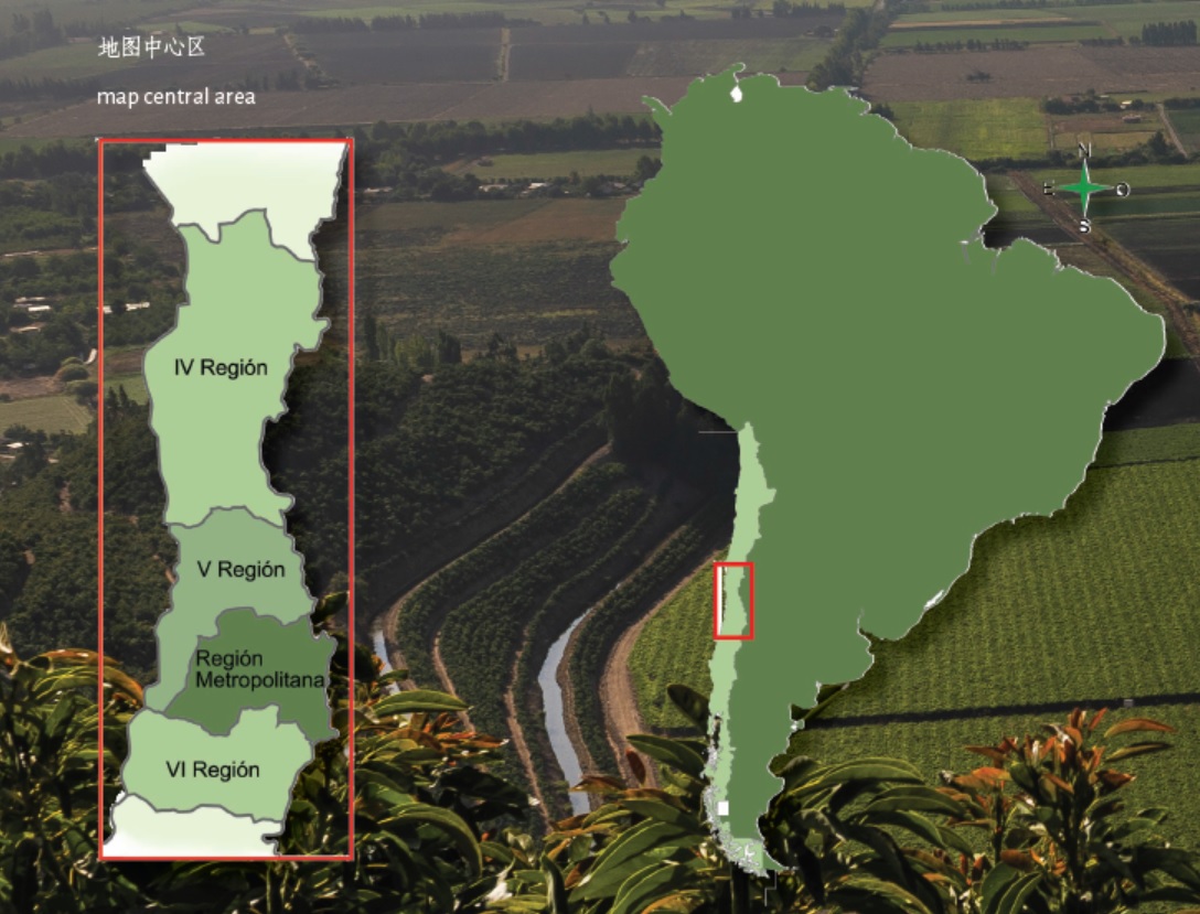 从南美的秘鲁进口水果到中国,秘鲁牛油果是哪里的