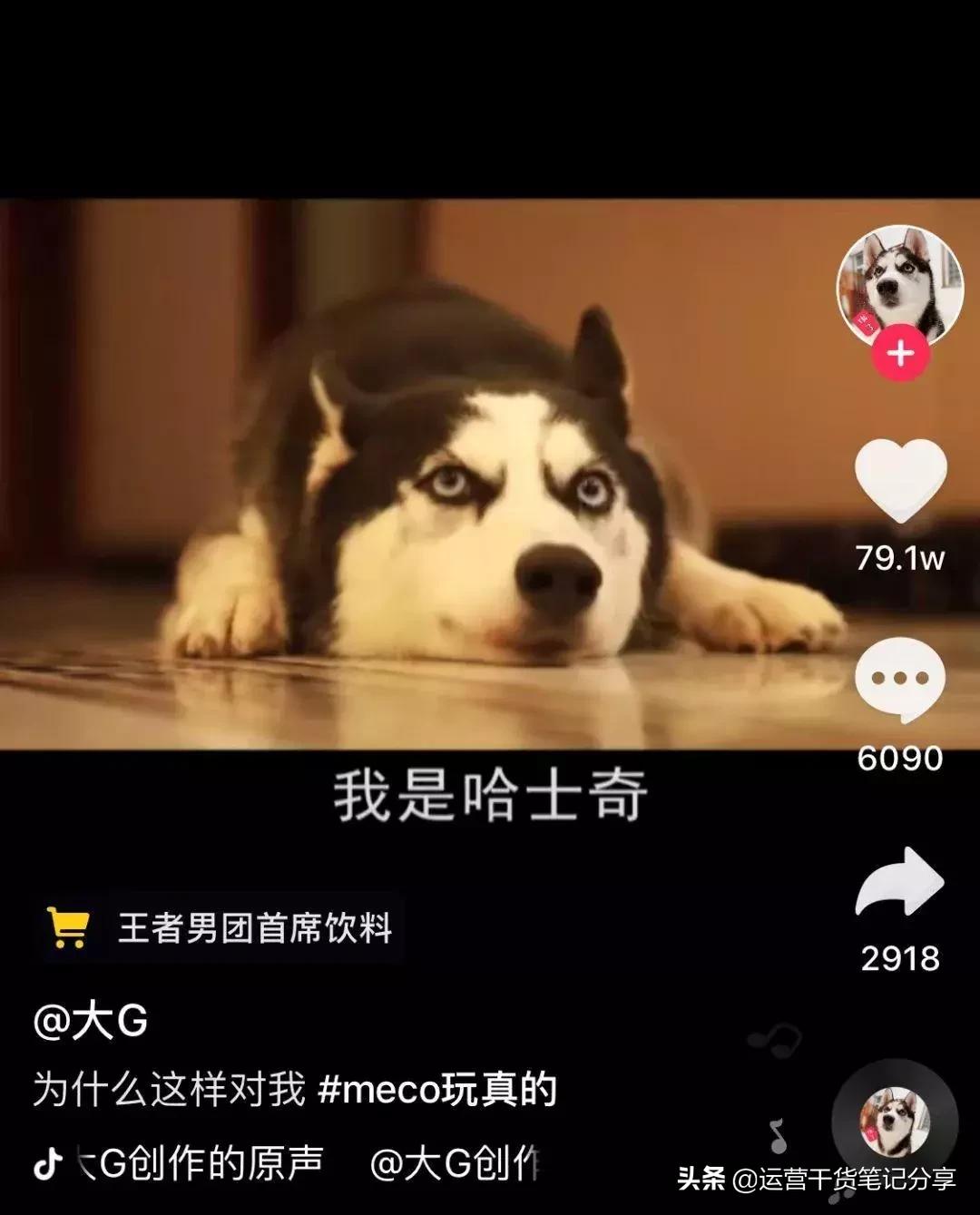 抖音1000粉以上怎么能快速涨粉,如何在抖音里面快速涨粉1000