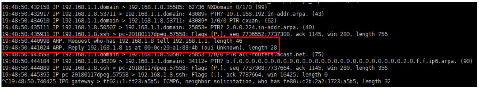 稳了字幕翻译,arp协议详解图解