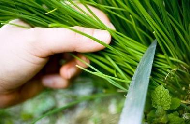 餐饮加盟连锁快招与品招区别,餐饮快招公司加盟可靠吗