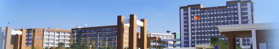 上海这16所学校成全国示范,上海即将改名的5所大学