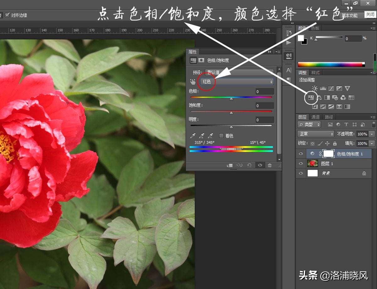牡丹的名贵品种黑牡丹和绿牡丹,牡丹的稀有品种绿牡丹和黑牡丹