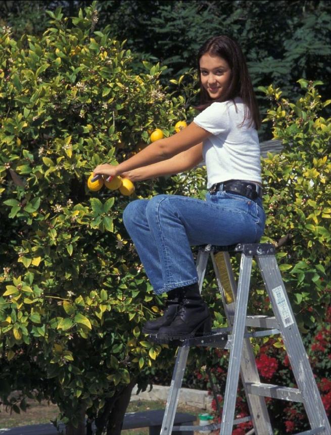 好莱坞女星杰西阿尔芭,美国女演员杰西卡·阿尔芭