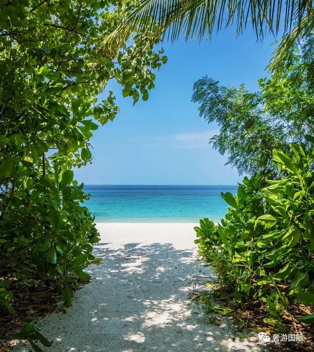 马尔代夫jv岛攻略,马尔代夫v岛