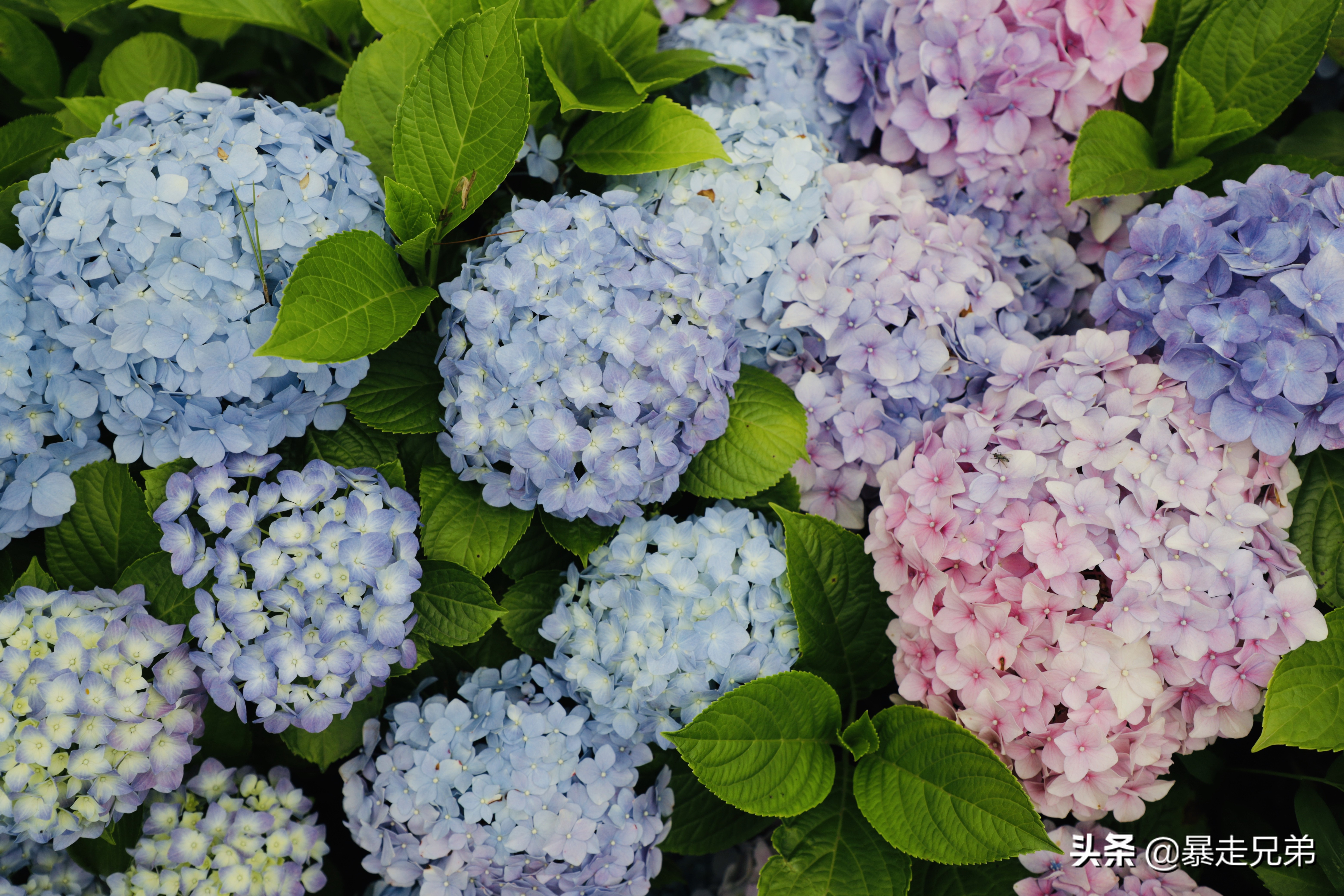 水下宝藏文物,水下国宝