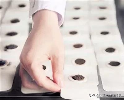 「冬病夏治」皮肤科“三伏贴”给您面子