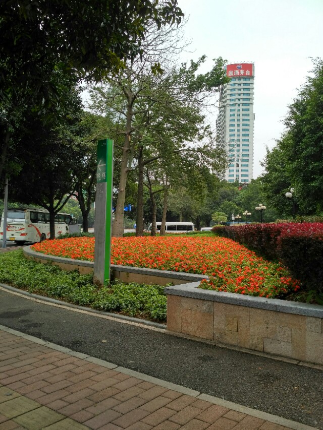 枫林诗苑群友作品选,枫林诗苑群友作品大全