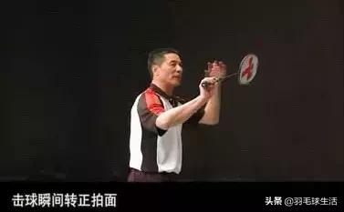 羽毛球十个知识,羽毛球基础知识100例