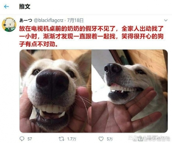 搞笑囧图：你们说冈本001和兰州拉面的牛肉哪个更薄？