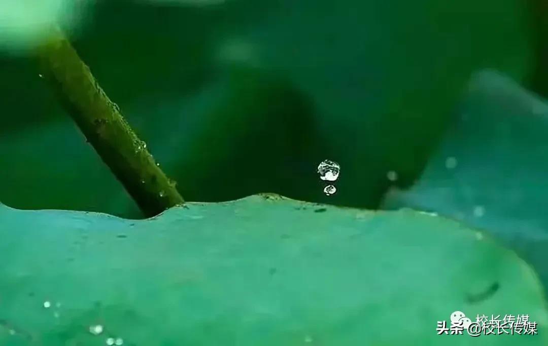 沧海：“优雅”比“优秀”更难