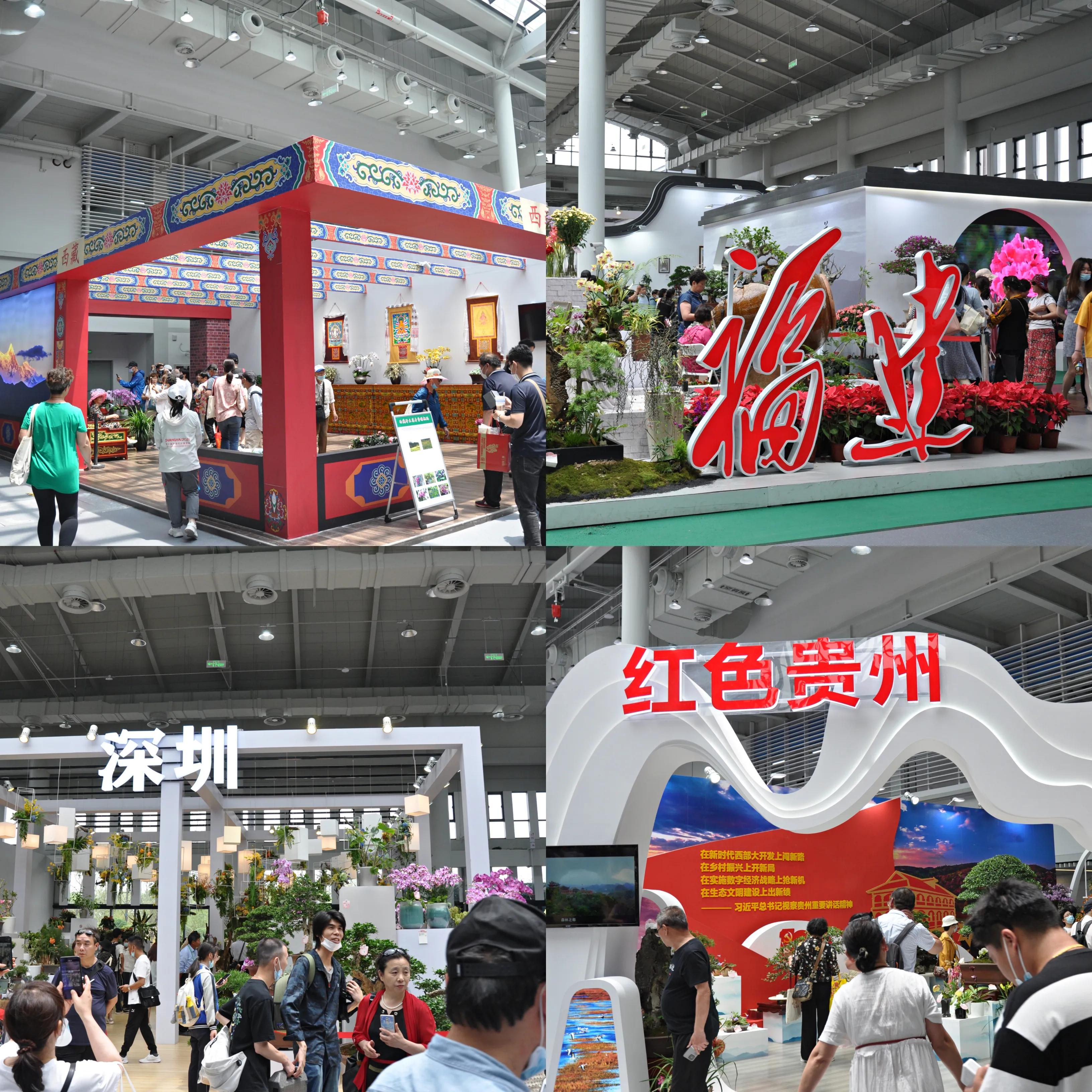 漳州东南花都花博会巡游,花博会花神巡游打卡