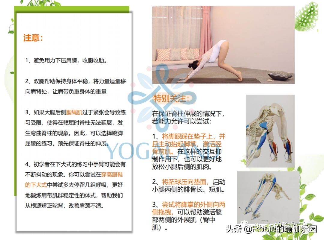 瑜伽小白如何在家自己练瑜伽,瑜伽零基础入门的基本体式有哪些