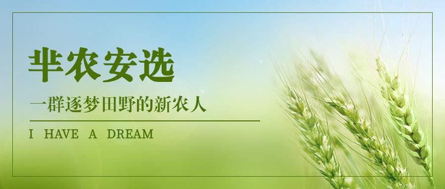 线上线下才是王道,线上与线下应该如何选择