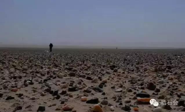 在野外捡石头的技巧,捡石头注意事项和手续