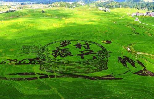 三和人才市场2020,三和人才市场好吗