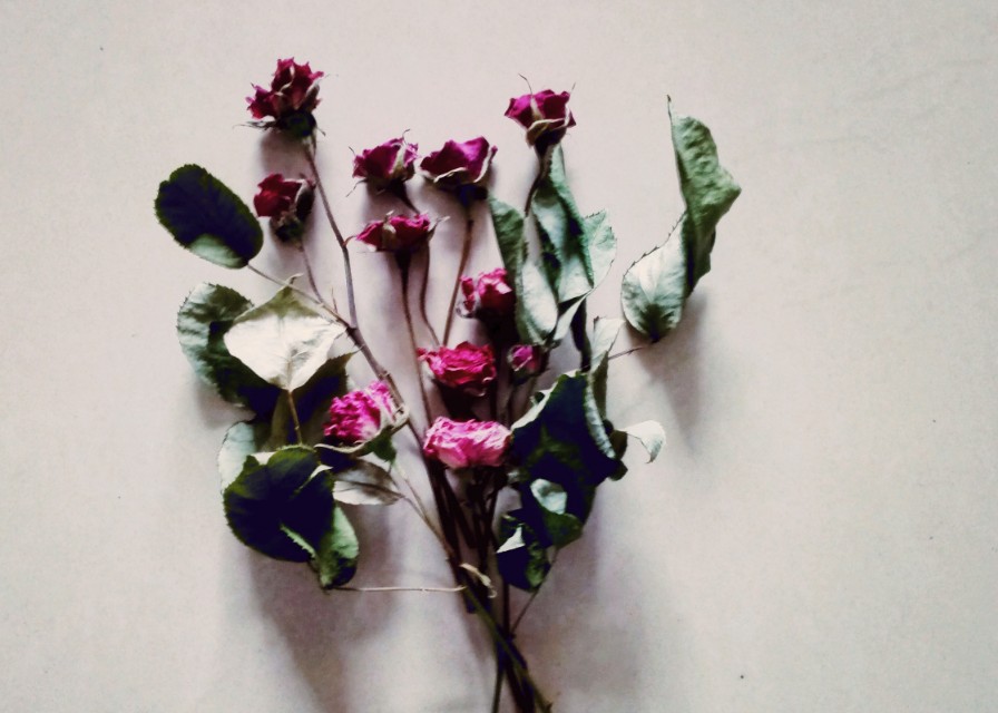 青春的脐带中考满分作文,青春的期盼中考满分作文