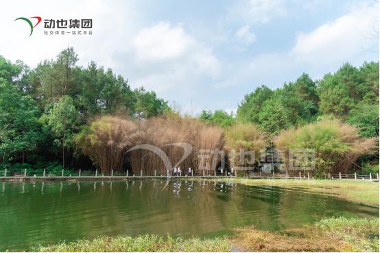 实用户外活动策划案例,新手如何做活动推广运营