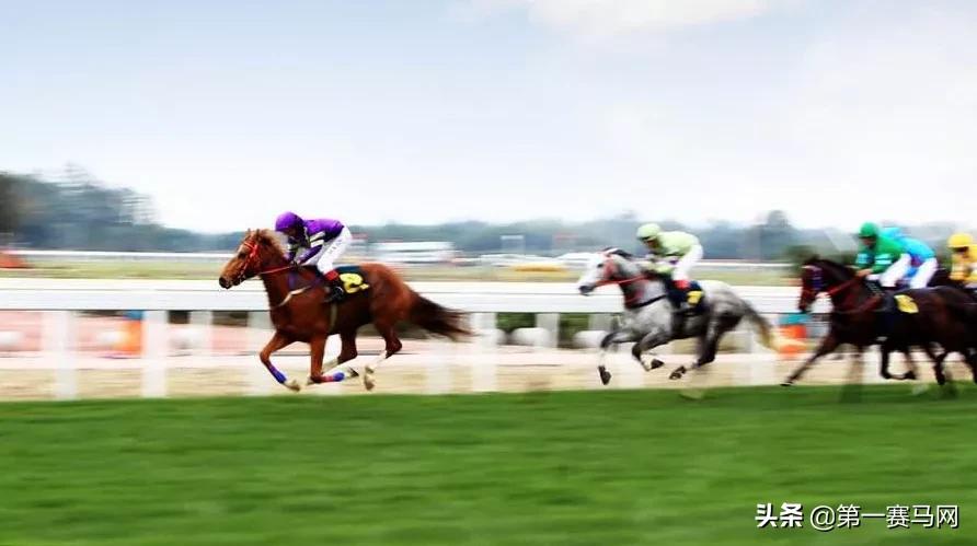 「调研」海南开展赛马行业及赛马*彩博**业的可行性研究